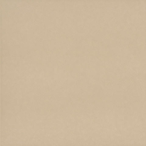 Bien Seramik 33x33 cm Antiasit Bej Yer Karosu - Bien Seramik