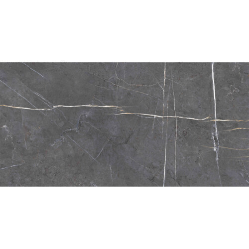 Bien Seramik 60x120 cm Darwin Antrasit Yer Karosu - 2
