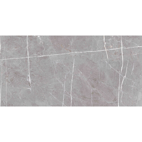 Bien Seramik 60x120 cm Darwin Grey Yer Karosu - 2