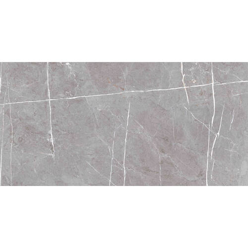 Bien Seramik 60x120 cm Darwin Grey Yer Karosu - 2