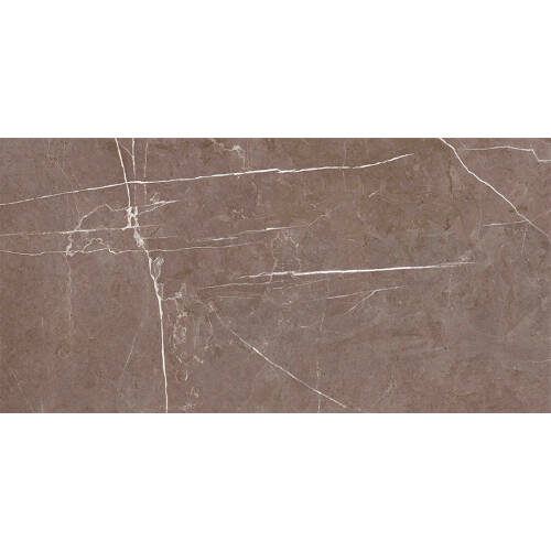 Bien Seramik 60x120 cm Darwin Taupe Yer Karosu - 1