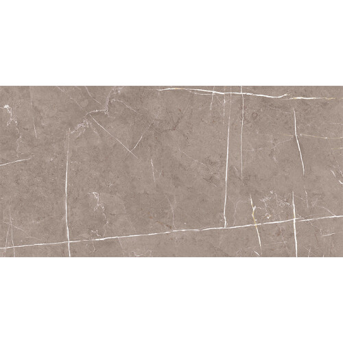 Bien Seramik 60x120 cm Darwin Vizon Yer Karosu - Bien Seramik