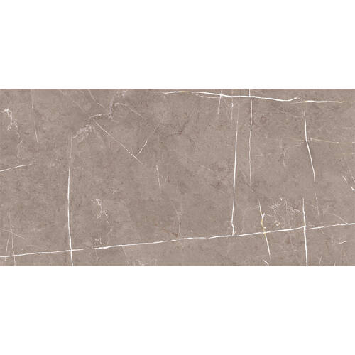 Bien Seramik 60x120 cm Darwin Vizon Yer Karosu - 1