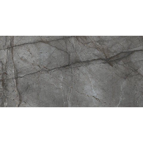 Bien Seramik 60x120 cm Root Silver Yer Karosu - 1