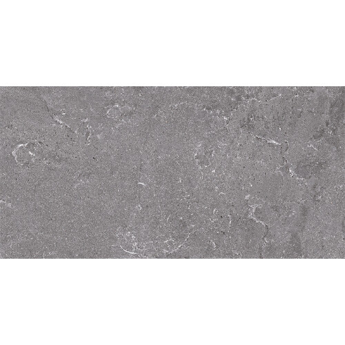 Bien Seramik 60x120 cm Salus Gri Yer Karosu - Bien Seramik