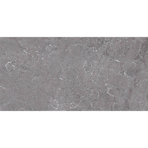 Bien Seramik 60x120 cm Salus Gri Yer Karosu - 1