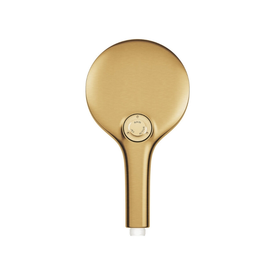 GROHE Rainshower SmartActive 130 El Duşu 26574GN0 - 3